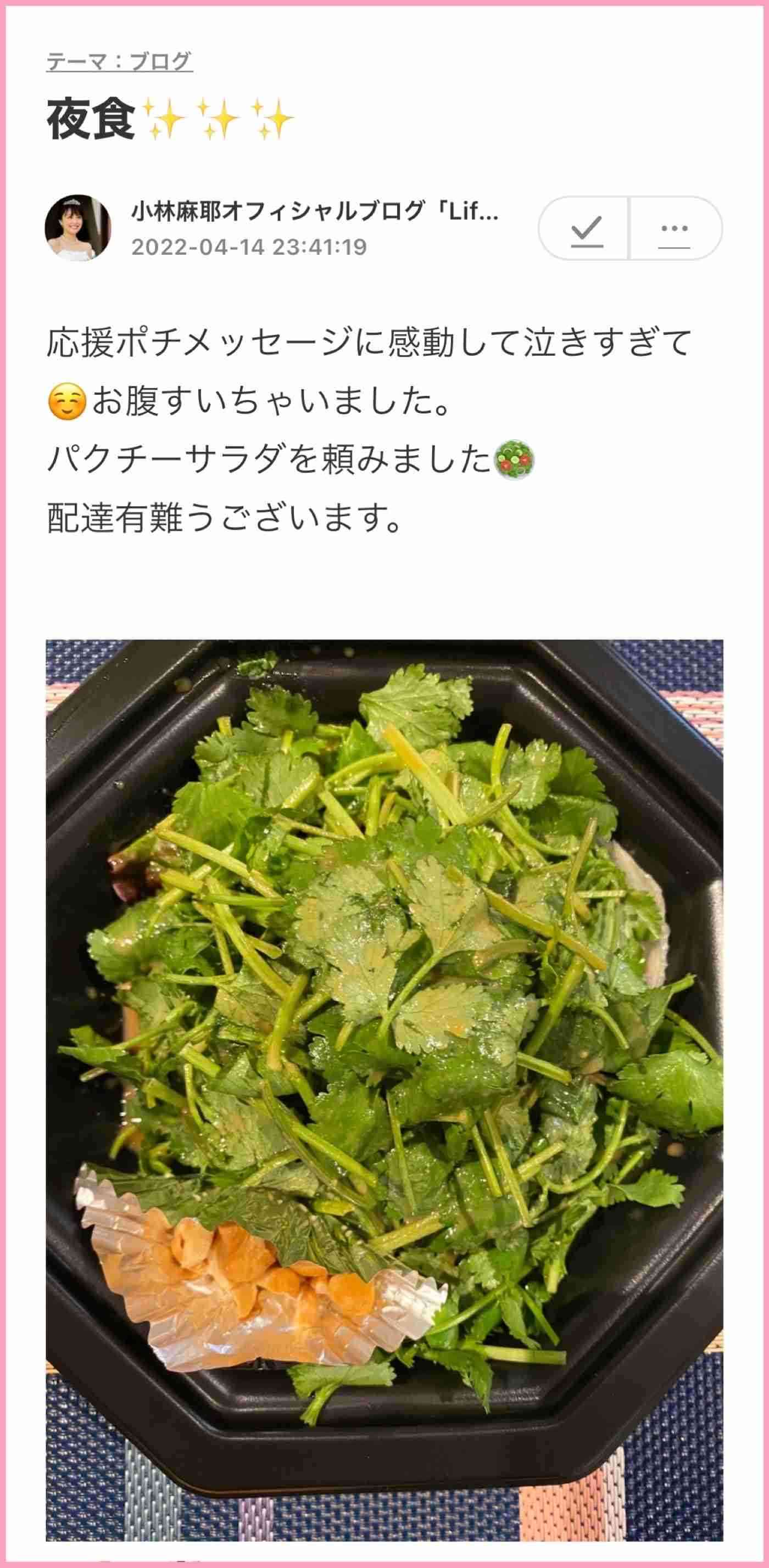 小林麻耶「ママ、洗脳解けて」　母への願いをブログ連投…父親には「縁切られました」