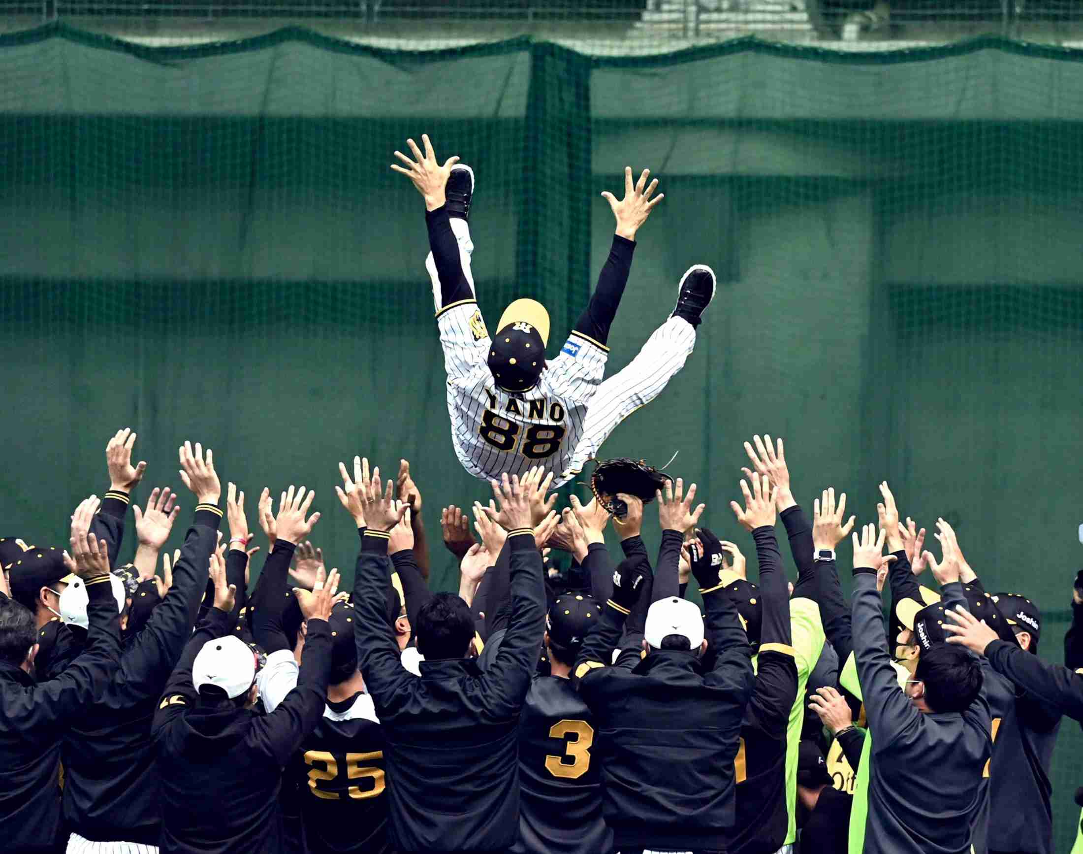 阪神・矢野監督　異例の“予祝”胴上げ　西＆糸井が発案「うれしいサプライズ」　（デイリースポーツ） - Yahoo!ニュース