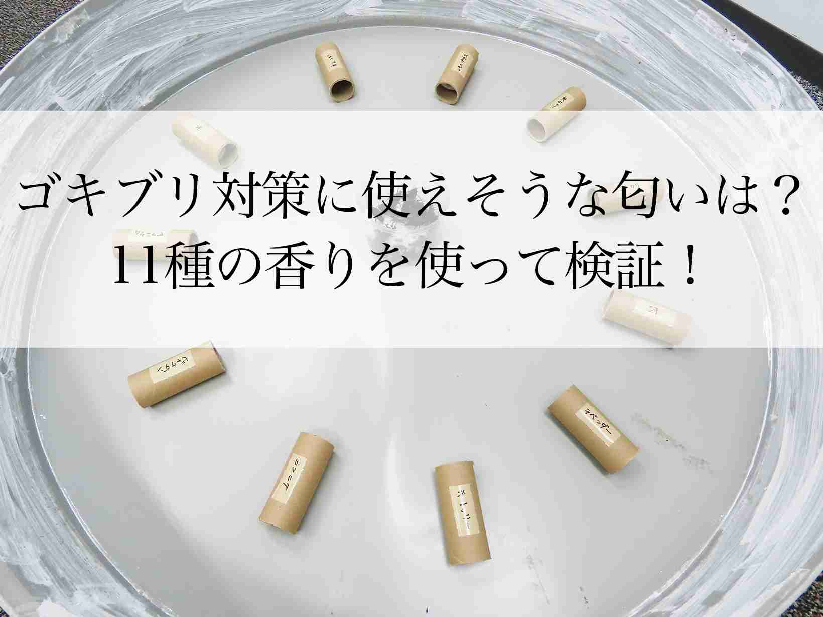 【実験】ゴキブリが好きな・苦手そうな匂いとは！？inアース製薬赤穂研究所 | ゴキラボ