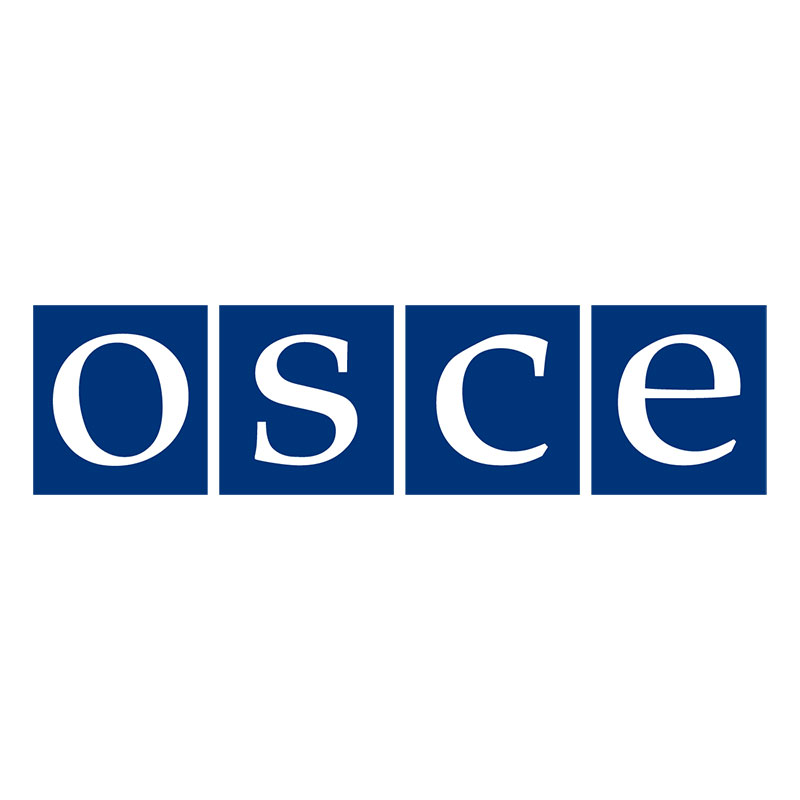 OSCE Representative calls for immediate release of Donetsk journalist Stanislav Aseev one year after his illegal detention | OSCE