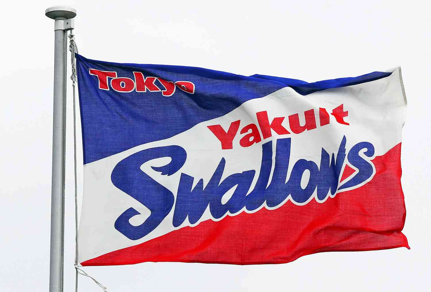 【ヤクルト】キブレハン外野手を獲得　東京五輪で銀の米代表　188センチ、97キロの右打者（日刊スポーツ） - Yahoo!ニュース