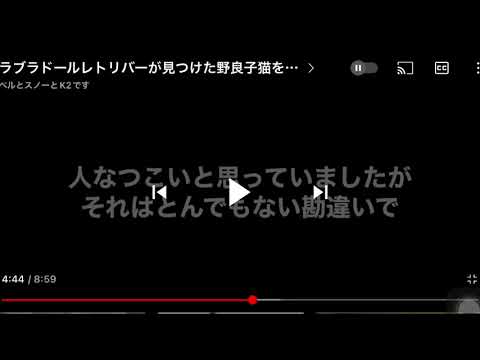 ベルとスノーと鹿児島在住の人のヒロタ動画をまた見たら猫懐いててワロタ〜 - YouTube