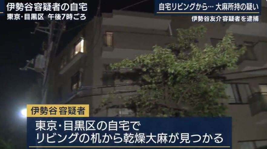 伊勢谷友介、水槽のある自宅が超オシャレ!「神秘的すぎる」「BARみたいな素敵な家」と反響