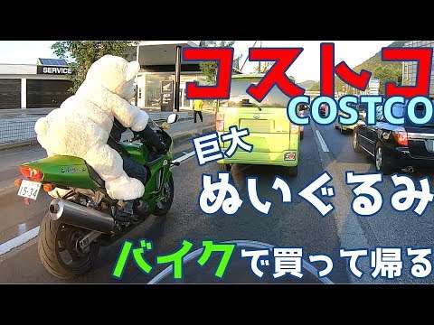【コストコ巨大ぬいぐるみ】ツーリング中にバイクで買って帰るBuy a bear doll at Costco　Take it home on a motorcycle - YouTube