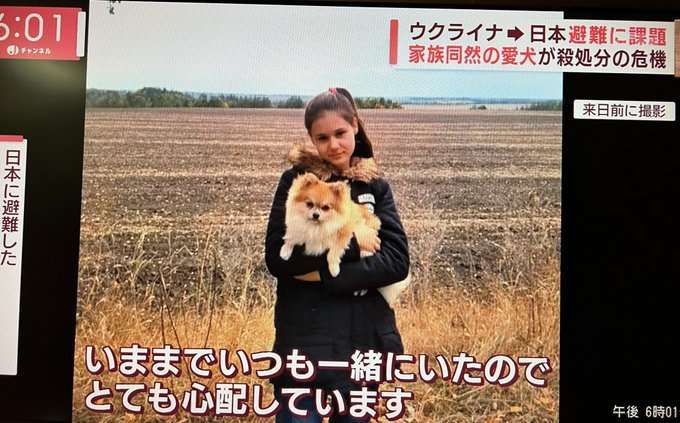 ウクライナから避難のペット犬検疫で特例　農水省が発表