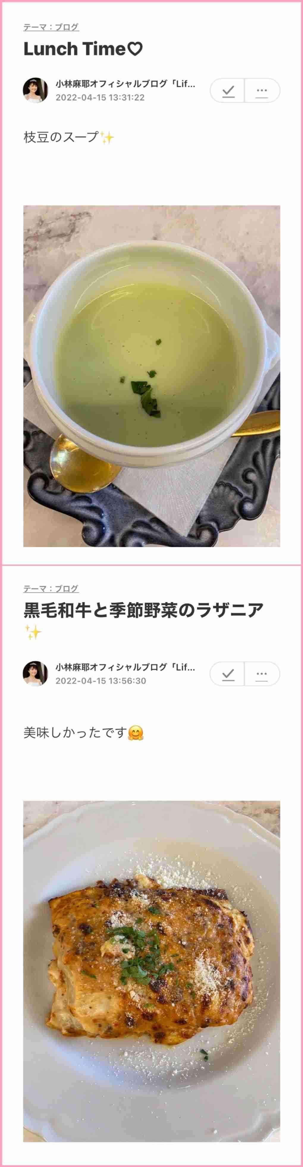 小林麻耶「ママ、洗脳解けて」　母への願いをブログ連投…父親には「縁切られました」