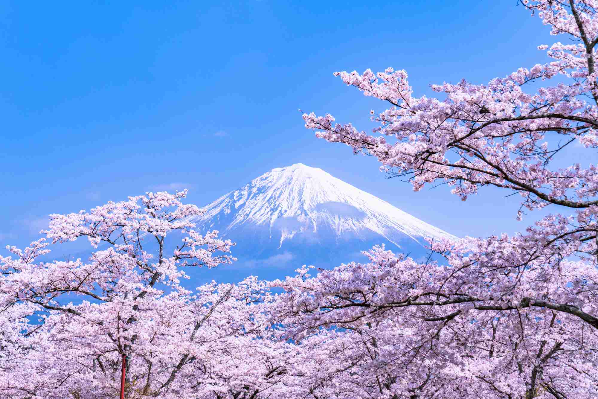 日本の良い所、悪い所