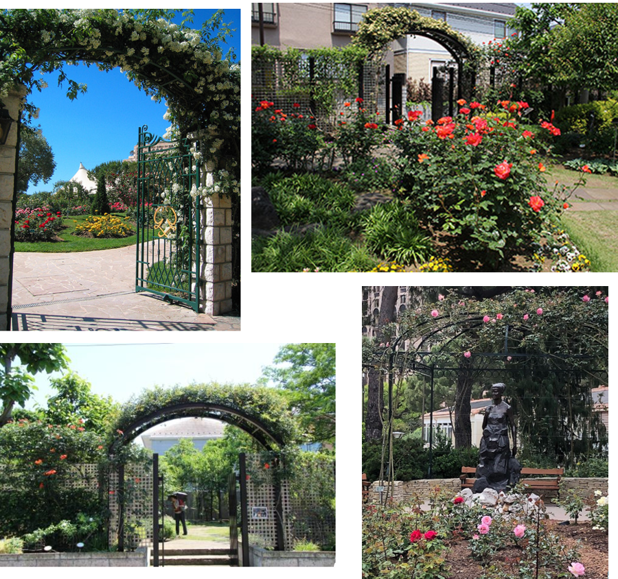 盆栽に興味があるひと！