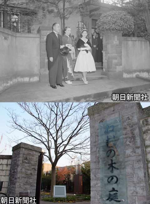 盆栽に興味があるひと！