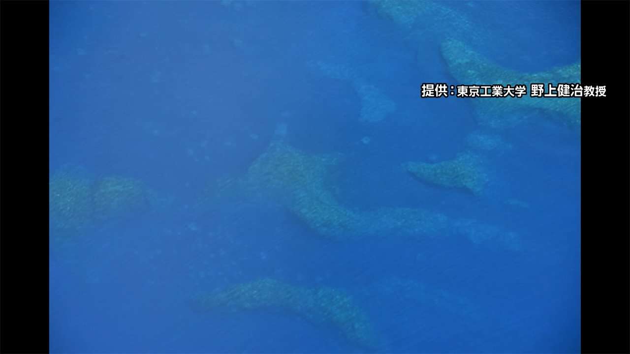 【独自】「『噴火浅根』が噴火した根拠ない」専門家が指摘　噴火したのは活火山ではない『北硫黄島』か（FNNプライムオンライン） - Yahoo!ニュース
