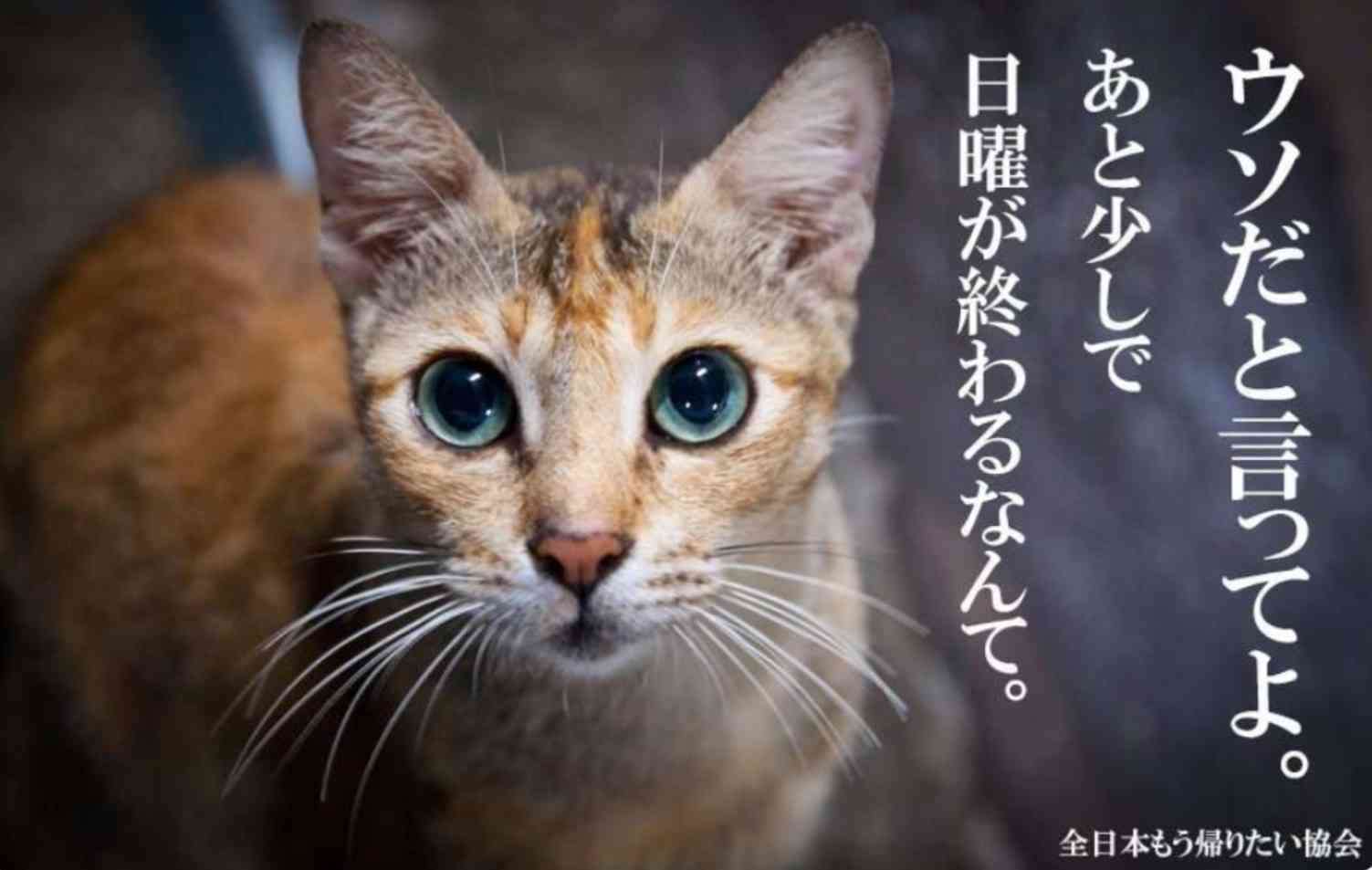 全日本もう帰りたい協会 まとめ | trendblog