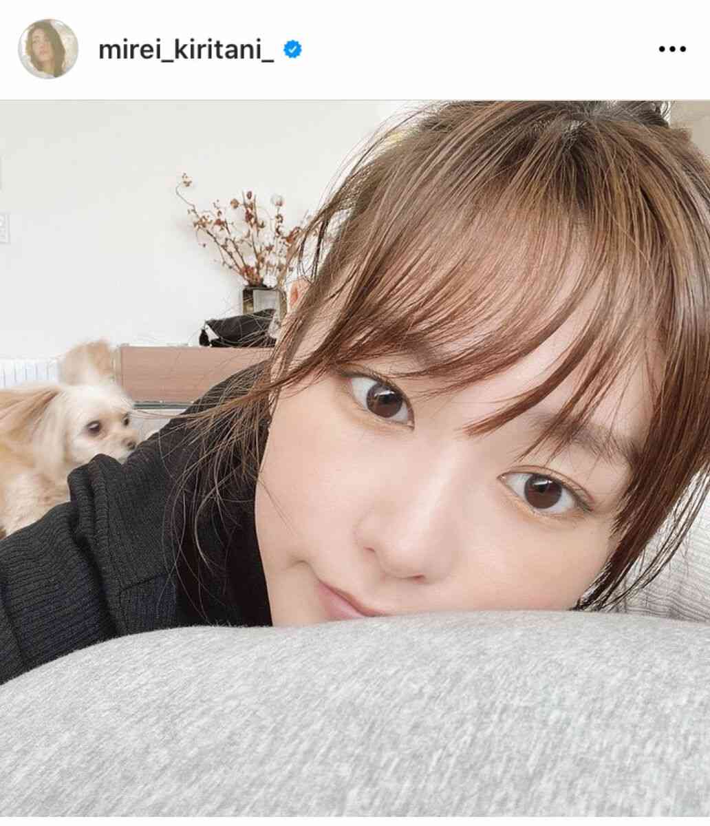 桐谷美玲、愛犬との最新自撮りショット公開「美し過ぎます」「美玲さんもぱっちゃんも可愛い」