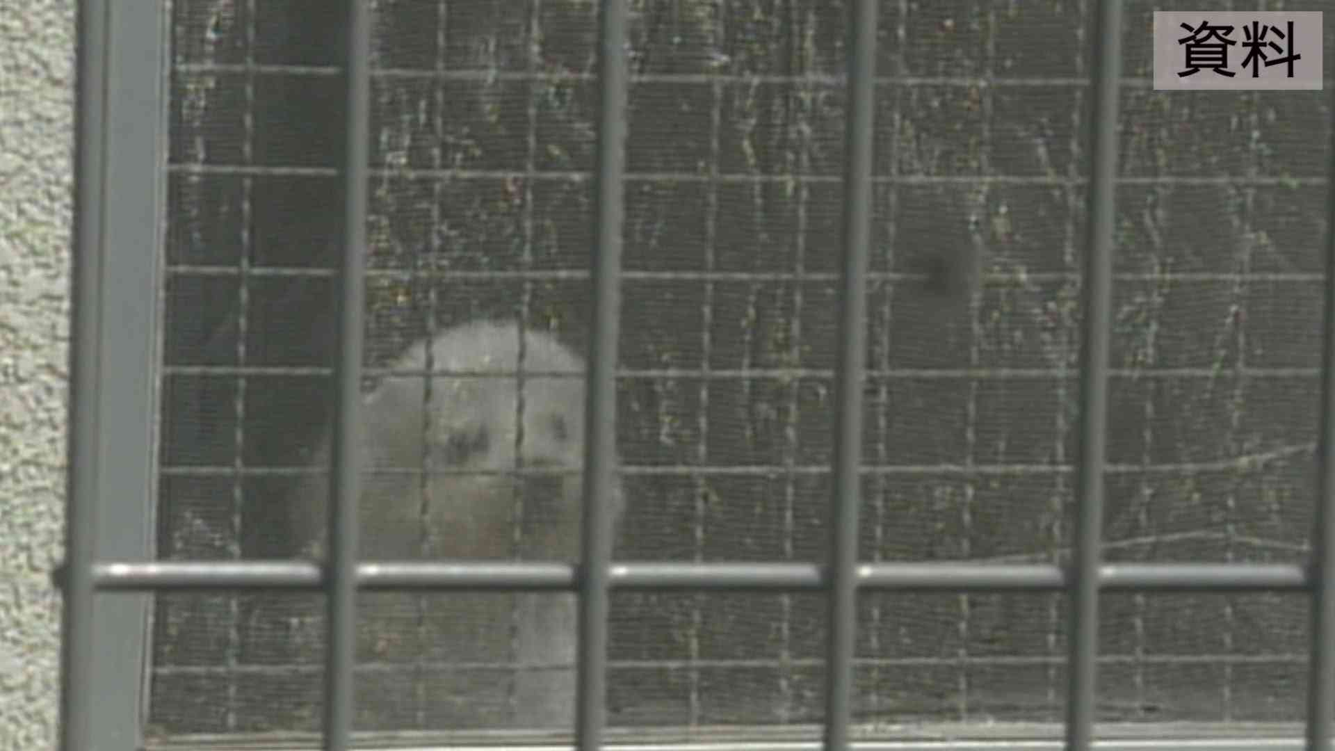 ウクライナ避難民の愛犬に特例…「検疫緩和」で致死率100％「狂犬病」のリスクはないの?SNS上で物議（FNNプライムオンライン） - Yahoo!ニュース
