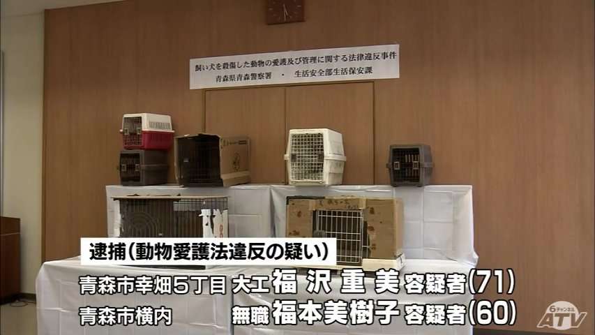飼い犬を刺し　臓器をハサミで切る　青森市の男女を逮捕 | TBS NEWS DIG