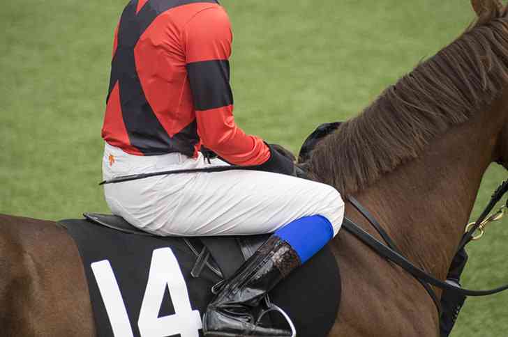 【競馬】UMAJO集まれ!Part13【G1折返し】