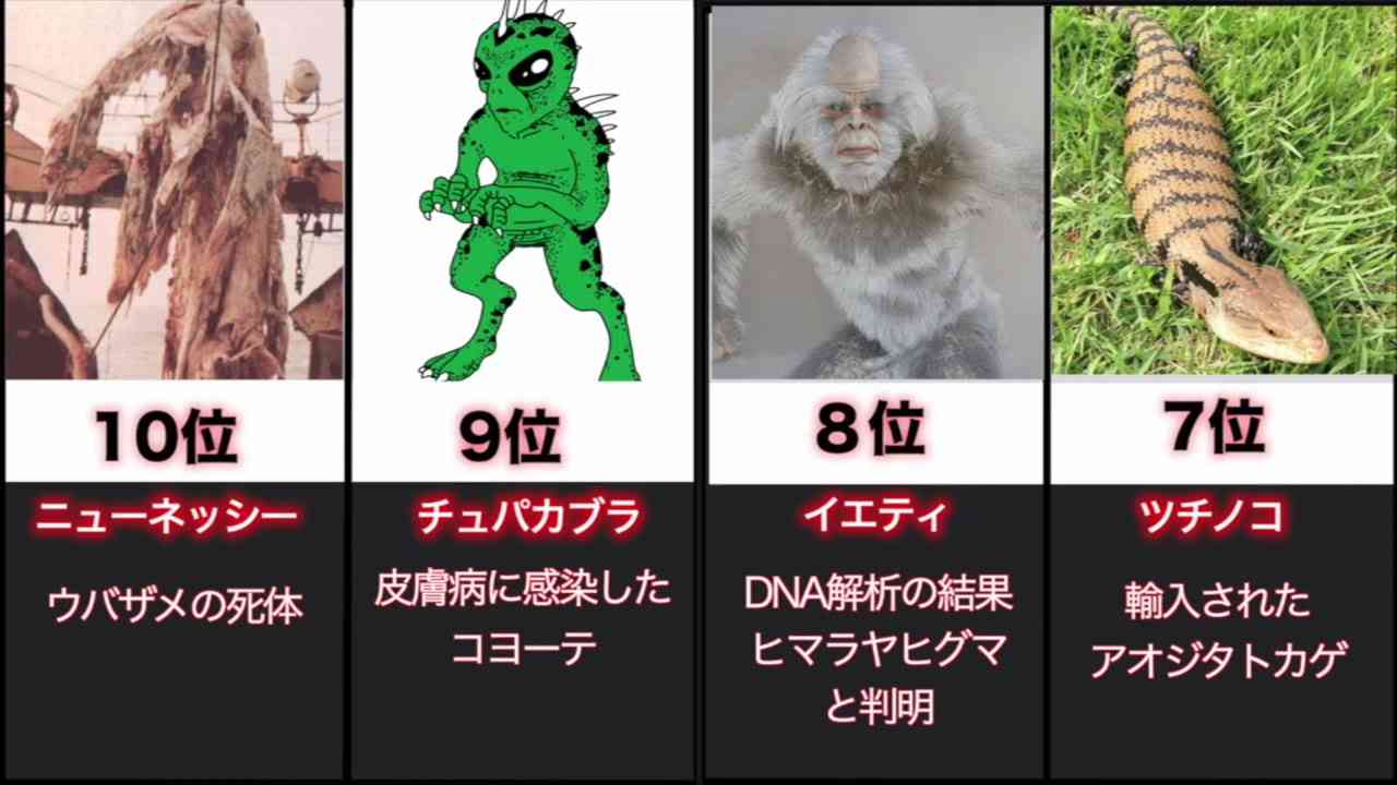 正体が判明したUMAランキング【比較雑学】 - YouTube