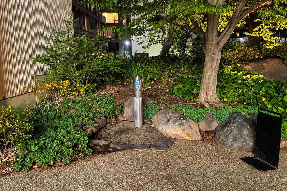 犬専用の水洗式“公衆トイレ”がネットで話題 「設置場所」は意外なスポットに…