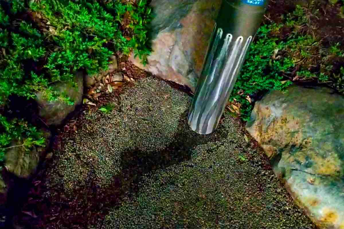 犬専用の水洗式“公衆トイレ”がネットで話題 「設置場所」は意外なスポットに…