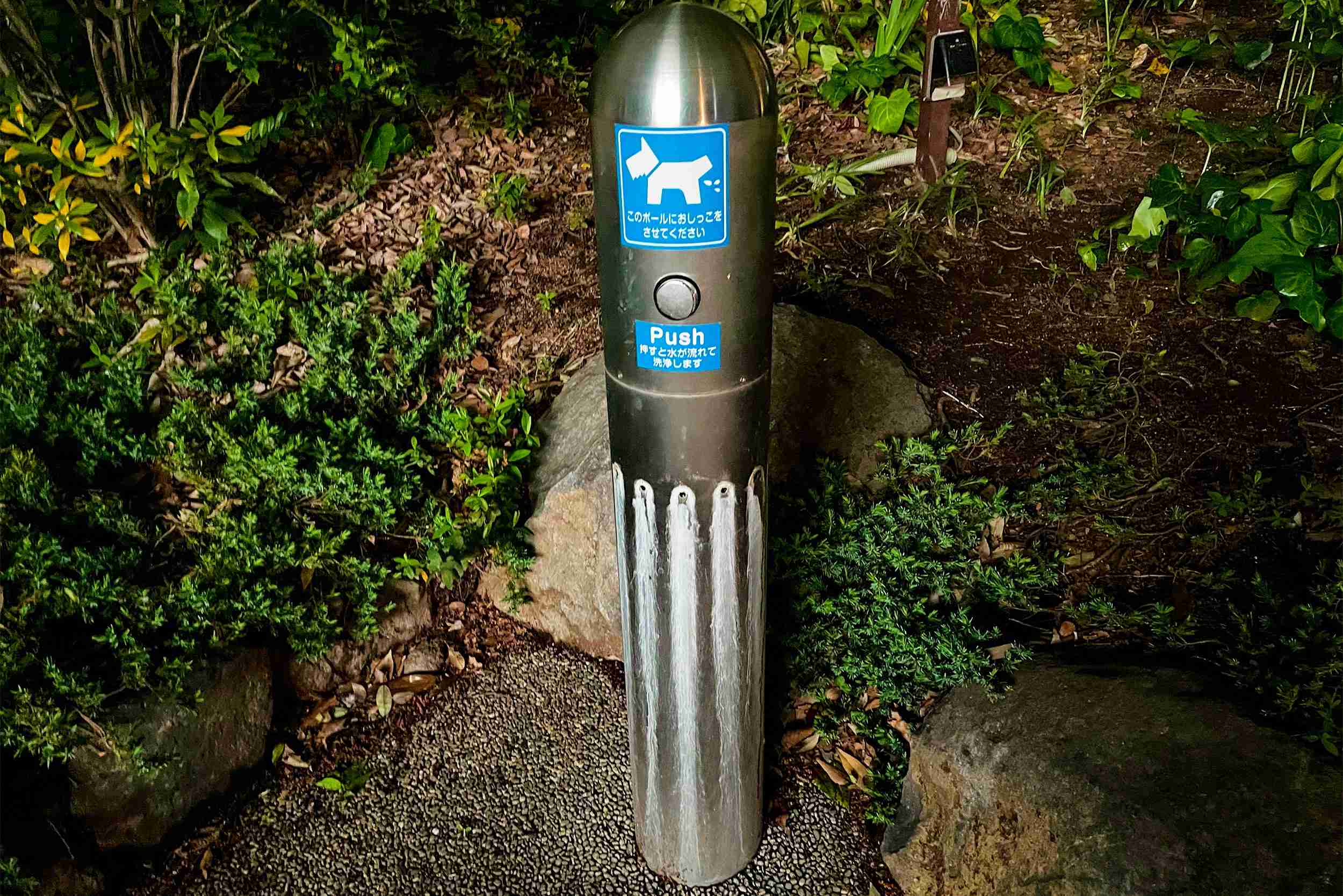 犬専用の水洗式“公衆トイレ”がネットで話題　「設置場所」は意外なスポットに… – Sirabee