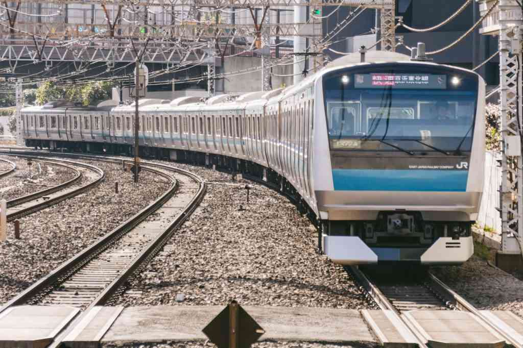 自閉症者や知的障害者が電車や鉄道を好きな理由 | 発達障害-自閉症.net