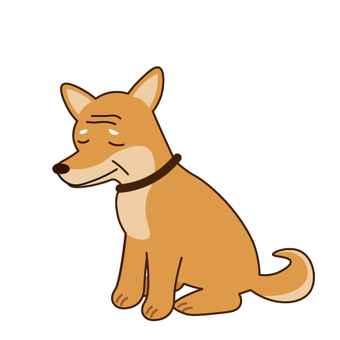 老犬介護 U^ェ^U