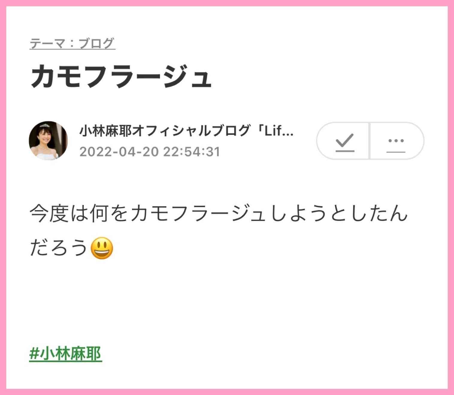市川海老蔵が告白 朝4時半まで続いた「小林麻耶・國光吟夫妻への謝罪現場」