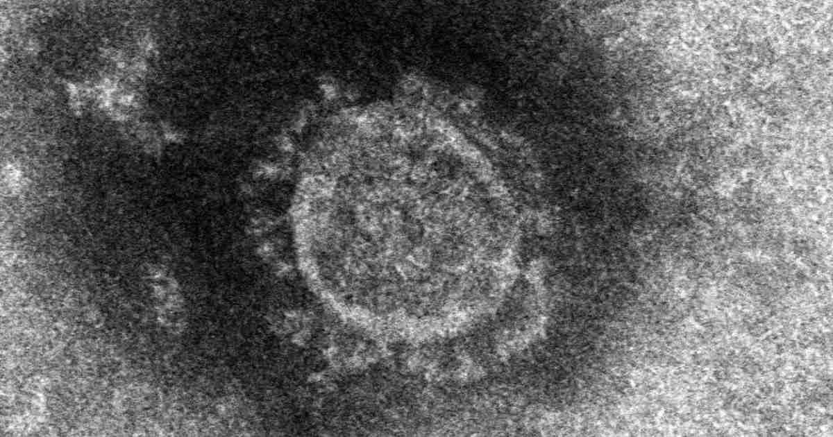 感染研がエアロゾル感染認める　飛沫、接触の報告書から一転