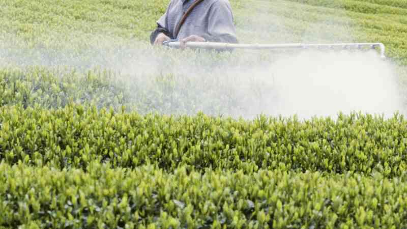 発達障害との関連が疑われる農薬、欧米で同時に禁止　日本は再び後手に（猪瀬聖） - 個人 - Yahoo!ニュース