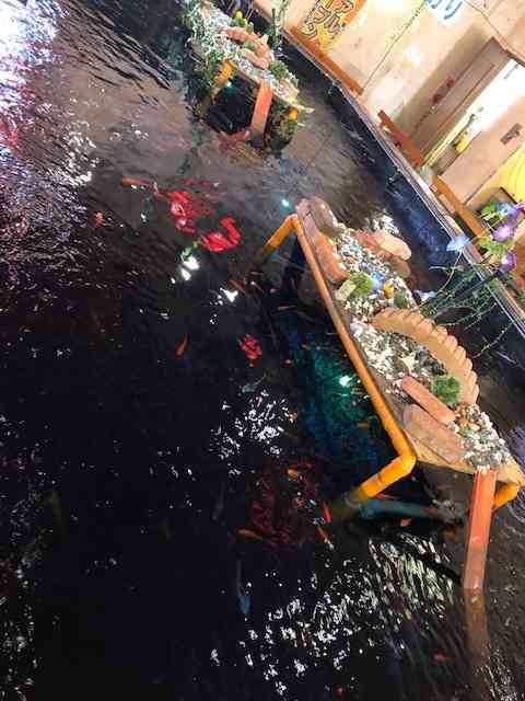 アミューズパークいわき神谷店 | 子供とお出かけ情報「いこーよ」