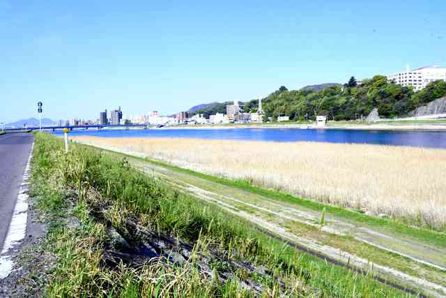 保育園の庭で直前まで遊んでいたか　広島の放水路で発見の5歳児（朝日新聞デジタル） - Yahoo!ニュース