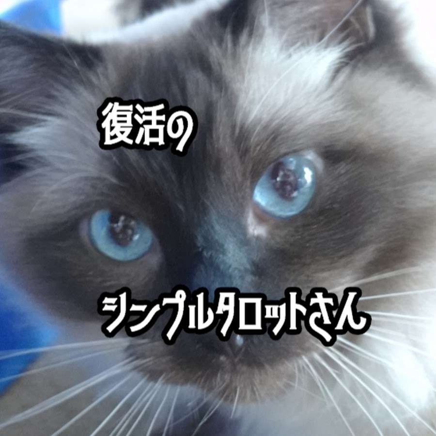 復活のシンプル・タロットさん - YouTube