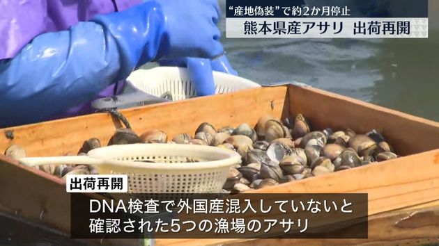 産地偽装で“2か月”停止　熊本県産アサリの出荷再開