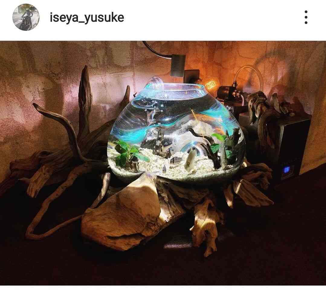 伊勢谷友介、水槽のある自宅が超オシャレ!「神秘的すぎる」「BARみたいな素敵な家」と反響