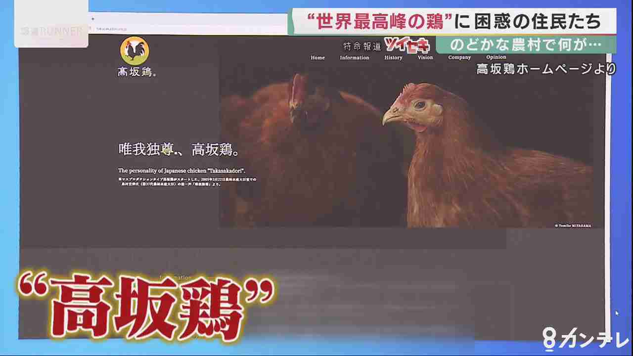 食のプロが認める高級鶏肉“高坂鶏”　飼育する鶏舎周辺では悪臭や騒音…業者と住民・自治体でトラブル発生中（関西テレビ） - Yahoo!ニュース