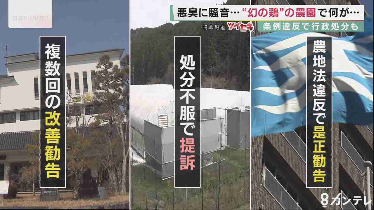 食のプロが認める高級鶏肉“高坂鶏”　飼育する鶏舎周辺では悪臭や騒音…業者と住民・自治体でトラブル発生中