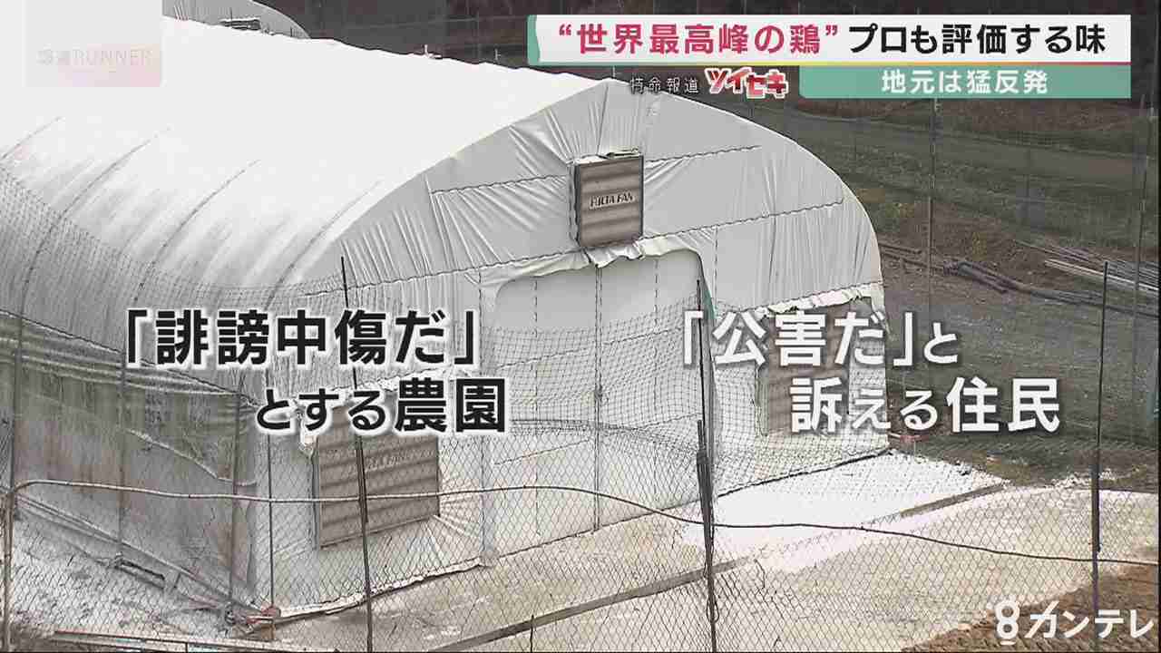 食のプロが認める高級鶏肉“高坂鶏”　飼育する鶏舎周辺では悪臭や騒音…業者と住民・自治体でトラブル発生中