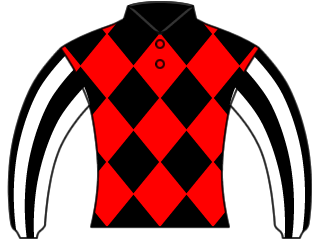 【競馬】UMAJO集まれ!Part13【G1折返し】