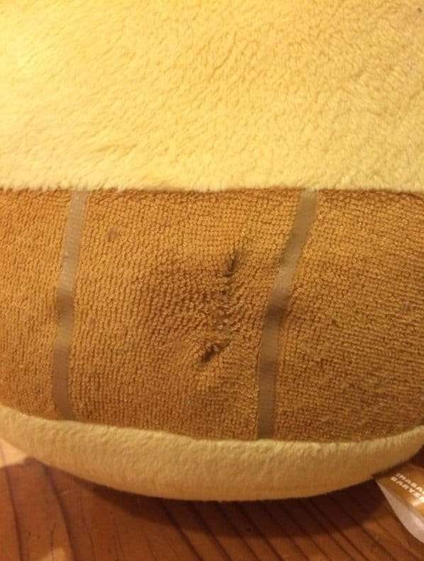 外科医の夫の“ぬいぐるみの縫合手術”が本格的すぎる…過去にはランドセルも“救命”したワザが見事