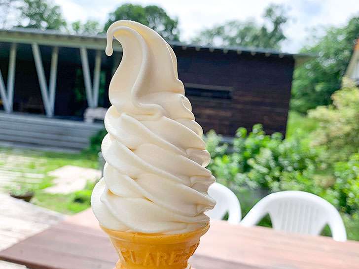 ソフトクリーム好きな人🍦