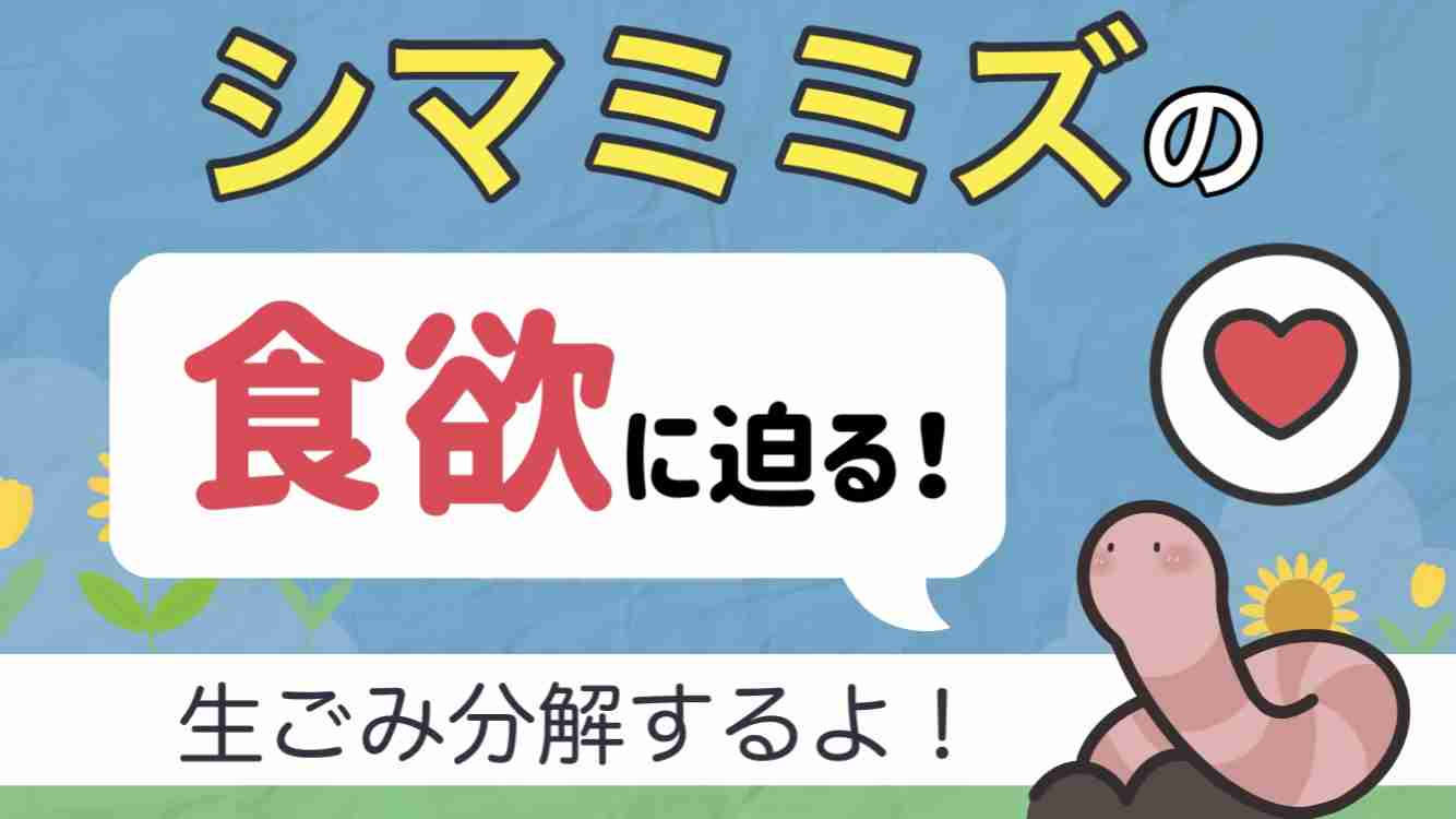 ミミズコンポストの分解力！1日で食べられる生ゴミの量はどのくらい？シマミミズの食欲  |  新潟ミミズ情報局～ミミズコンポストのすゝめ～