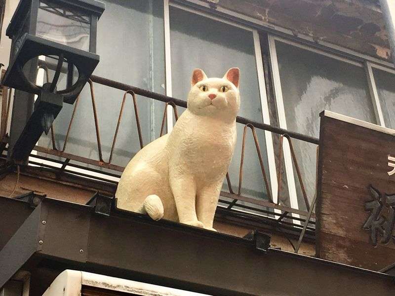 猫好き要チェック！絶対行きたい谷根千の猫づくしスポット6選 | aumo[アウモ]