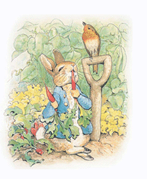 『こびナビ』 ”信頼できる情報”を発信し続ける 医療者たちの挑戦　（NHK）　 魑魅魍魎男