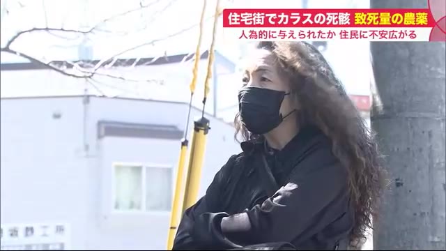北海道ニュース UHB | UHB 北海道文化放送