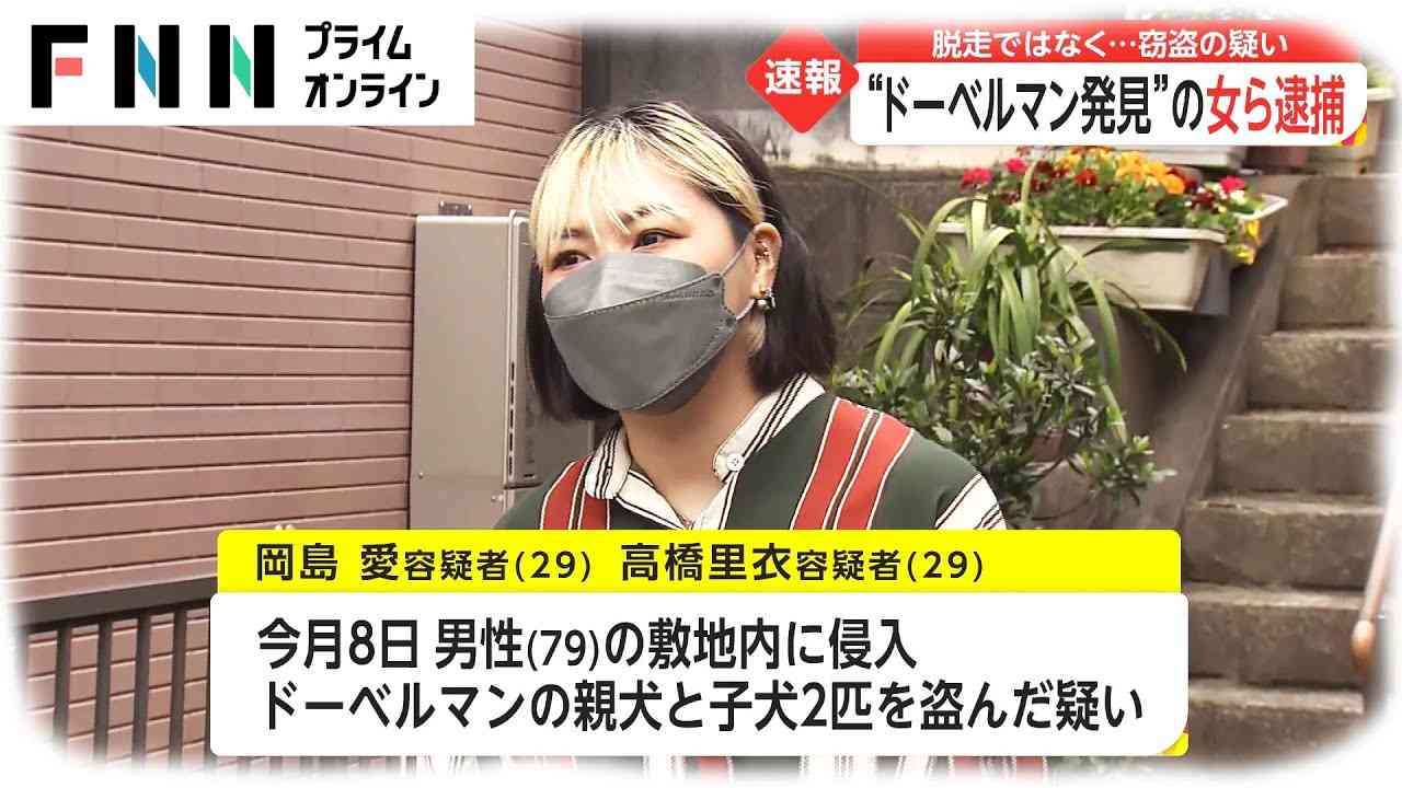 ドーベルマン2匹“逃走”でボランティア女ら逮捕　2匹は保護 - YouTube
