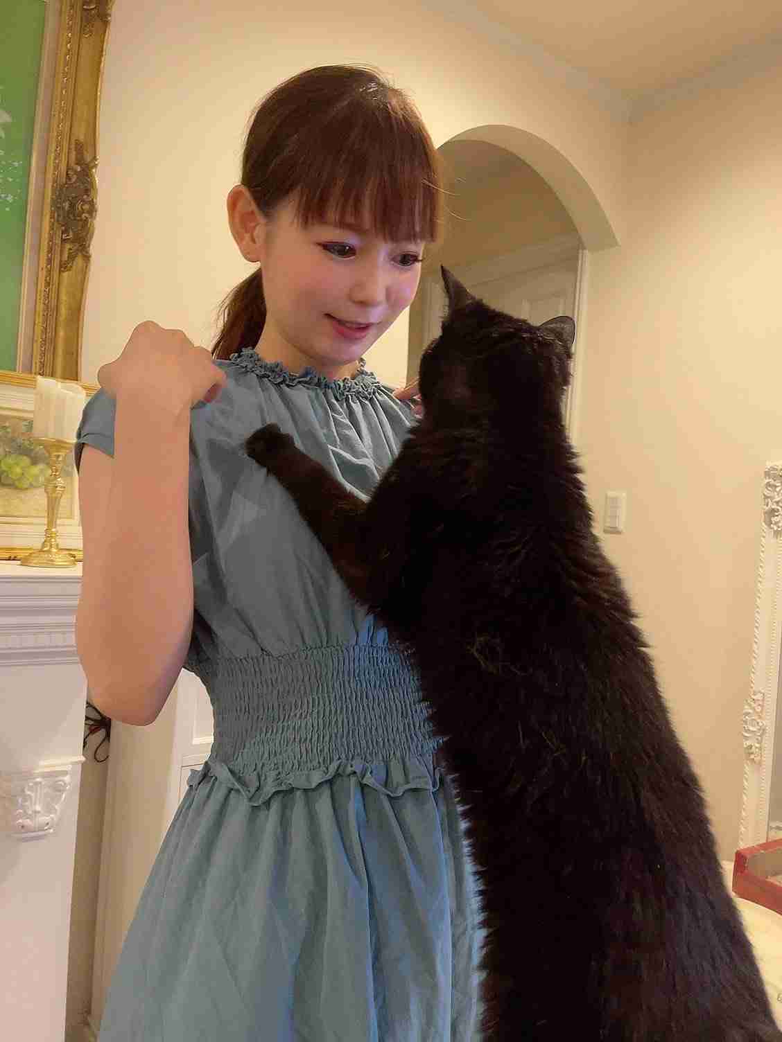 “愛猫家”中川翔子、猫の高血圧症に警鐘「命を大事に生きていかないといけない」「ねこもわたしも『いのちだいじに』」