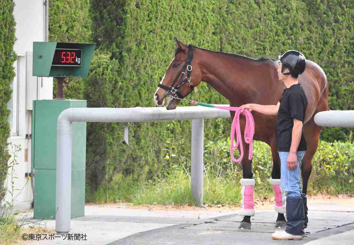 【競馬】UMAJO集まれ!Part13【G1折返し】