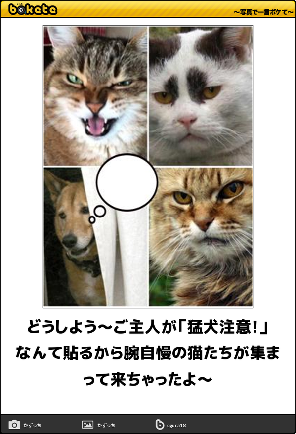 boketeで1000コメ以上を目指そう!!Part4