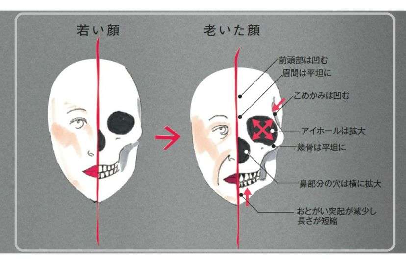 若いうちは分からなかったけど、年を重ねたら良さが分かったものPart2