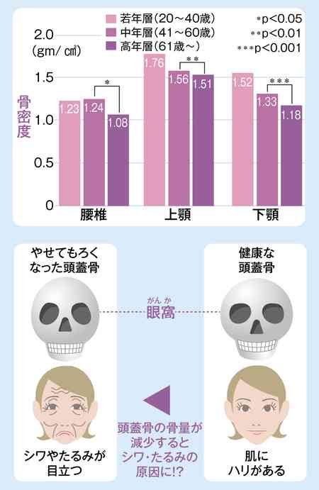 若いうちは分からなかったけど、年を重ねたら良さが分かったものPart2