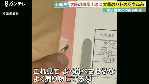 JAの精米工場がハトだらけ…至るところにフン　小学校給食にも出荷　保護者らが調査し発覚　大阪・枚方市